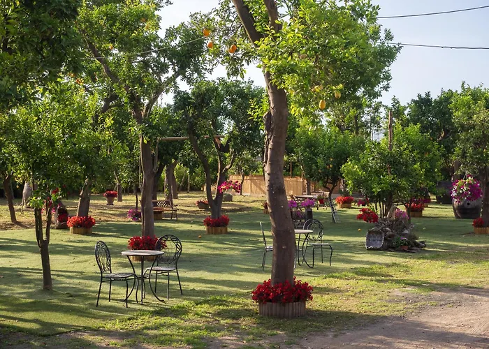 Giardino Di Nonno Lucio - Surrounded By Lemon Tree