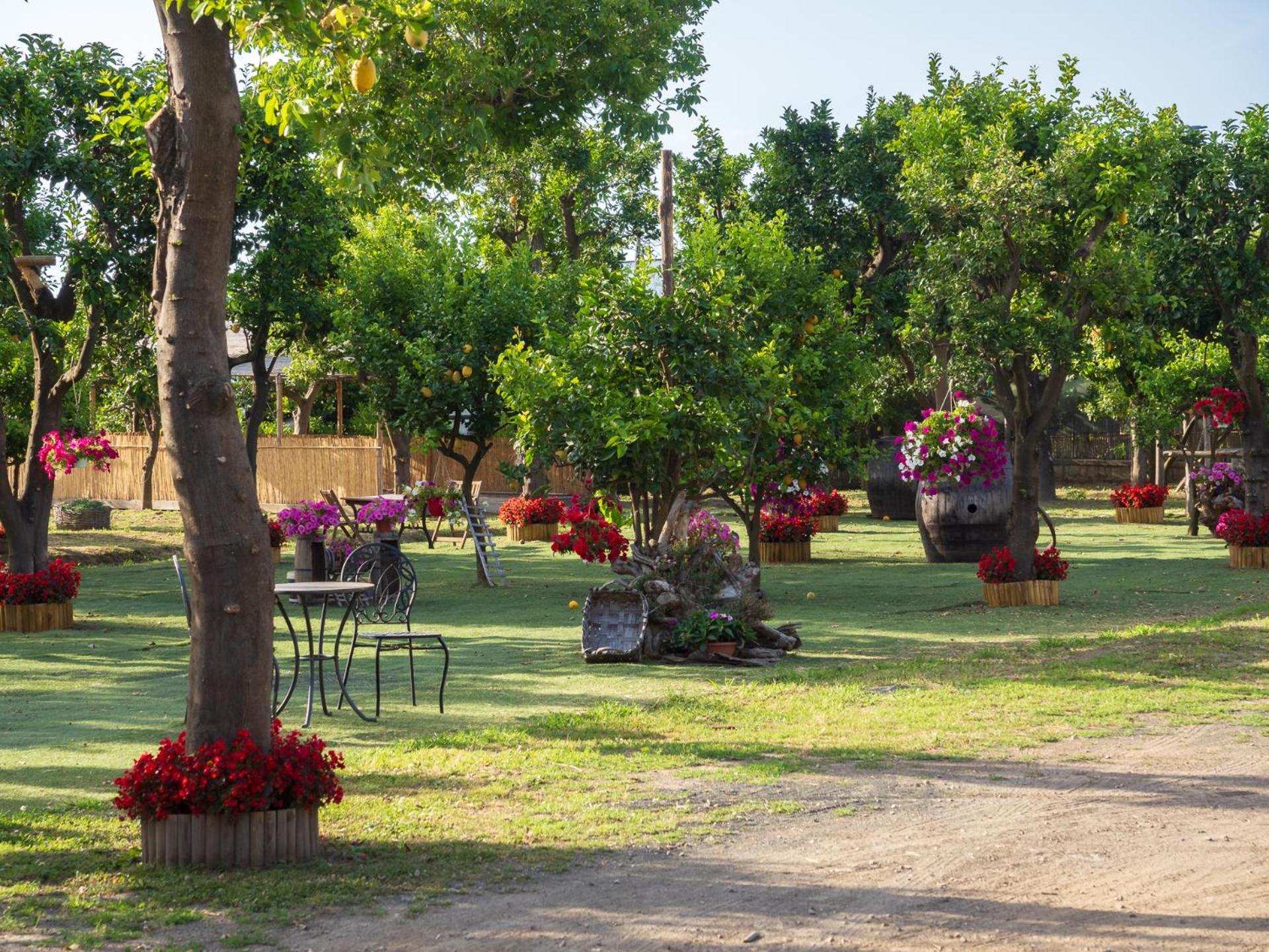 Giardino Di Nonno Lucio - Surrounded By Lemon Tree Holiday home Piano di Sorrento
