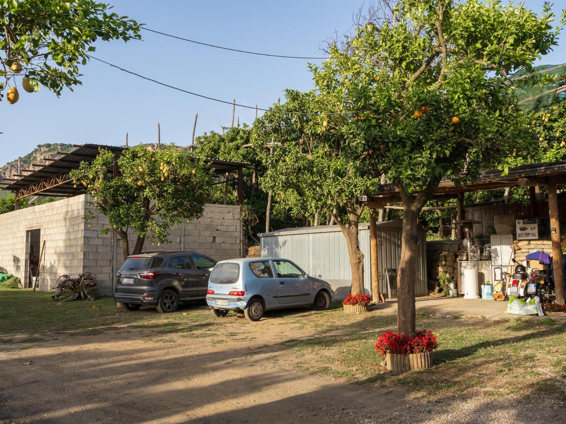 Giardino Di Nonno Lucio - Surrounded By Lemon Tree Holiday home Piano di Sorrento