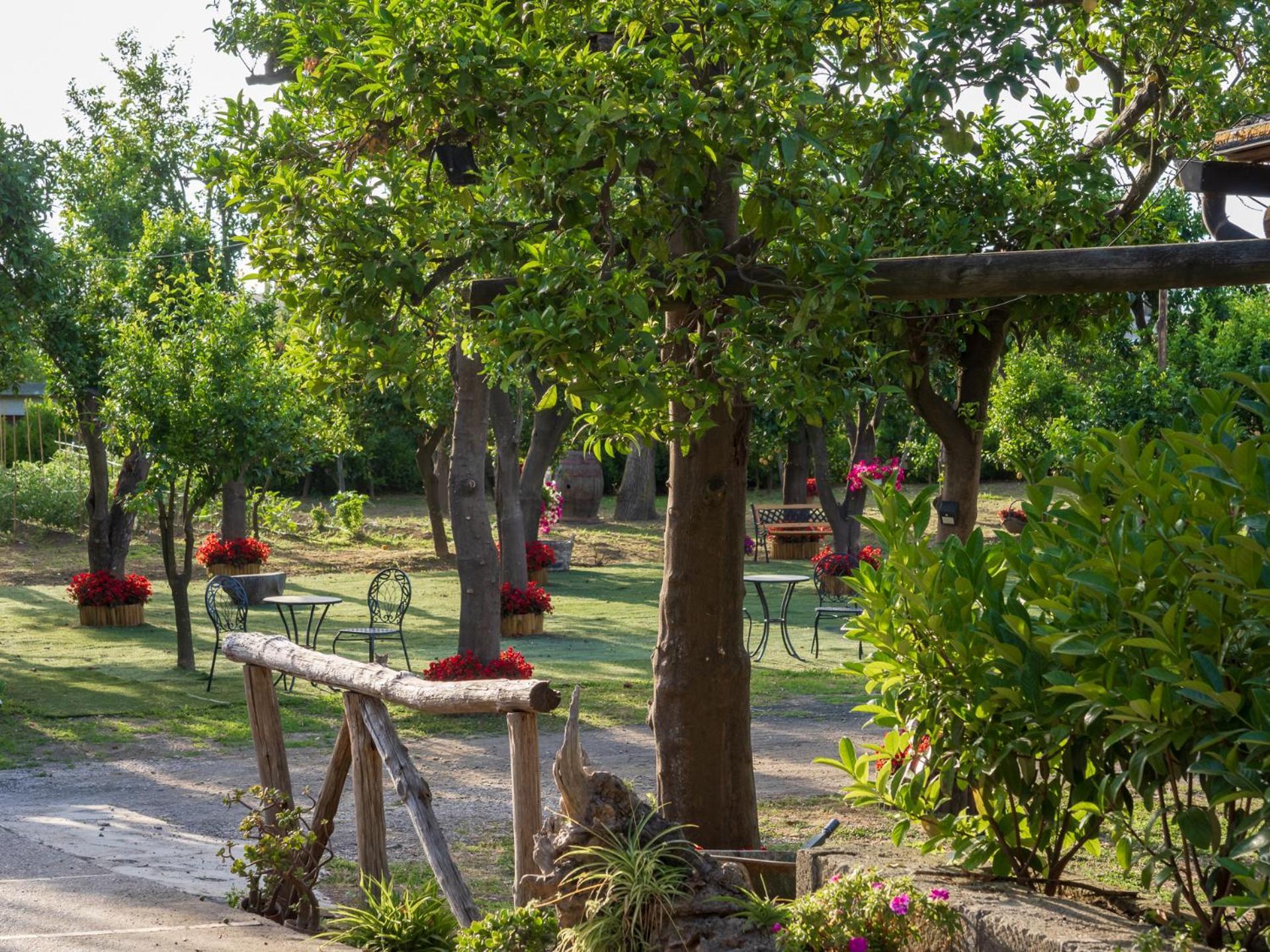 Giardino Di Nonno Lucio - Surrounded By Lemon Tree *
