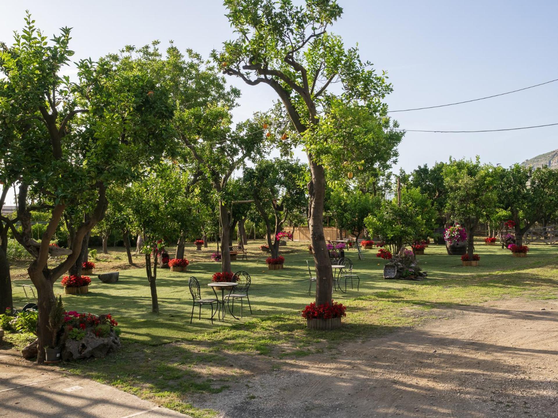 Giardino Di Nonno Lucio - Surrounded By Lemon Tree Holiday home *