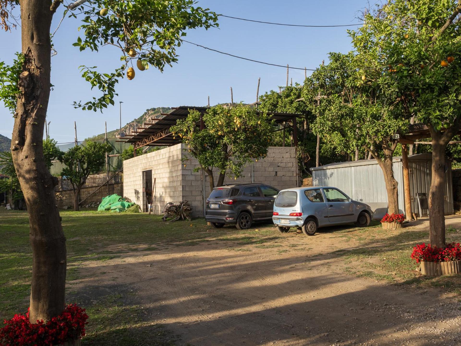 Giardino Di Nonno Lucio - Surrounded By Lemon Tree * Piano di Sorrento