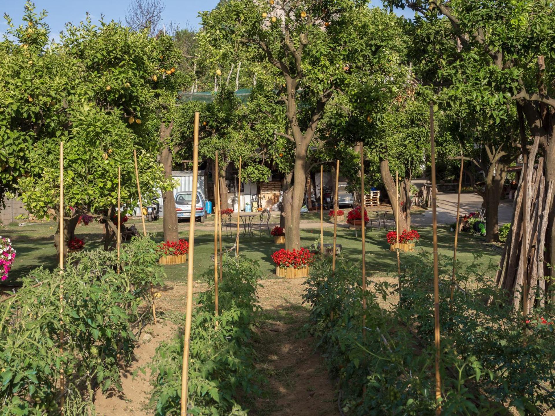 Giardino Di Nonno Lucio - Surrounded By Lemon Tree