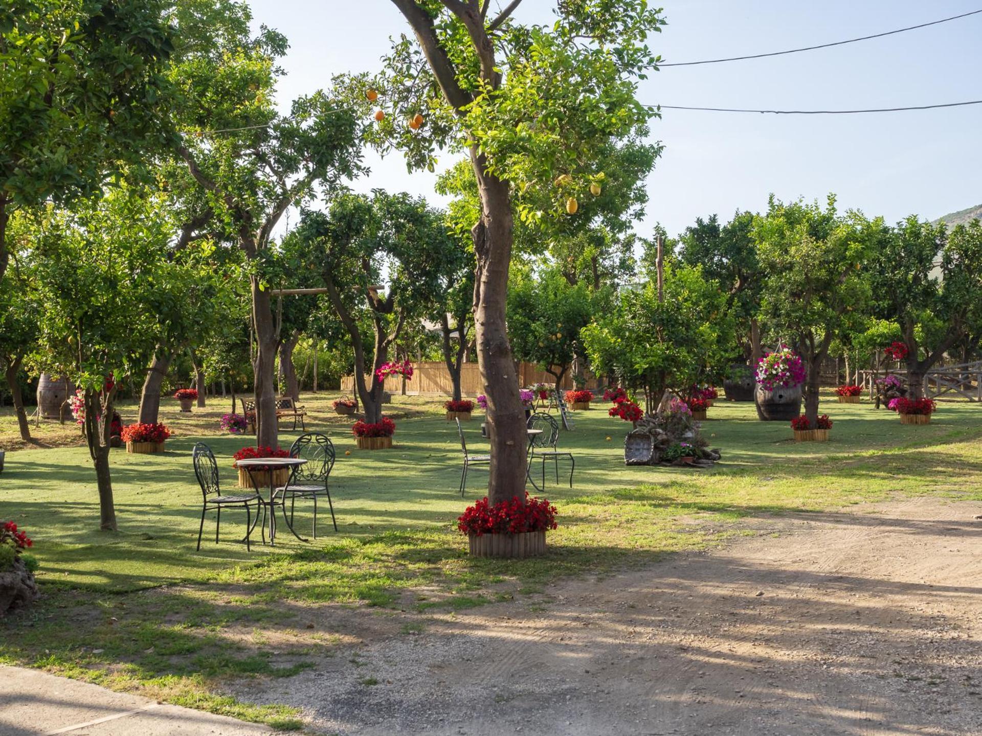 Giardino Di Nonno Lucio - Surrounded By Lemon Tree Holiday home Piano di Sorrento
