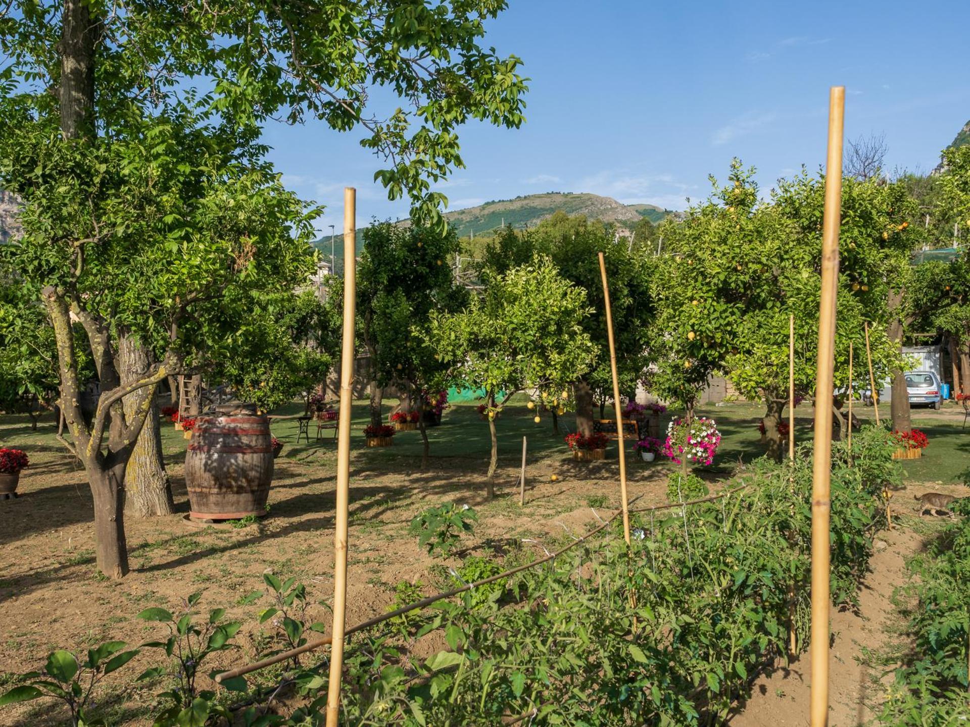 Giardino Di Nonno Lucio - Surrounded By Lemon Tree Holiday home