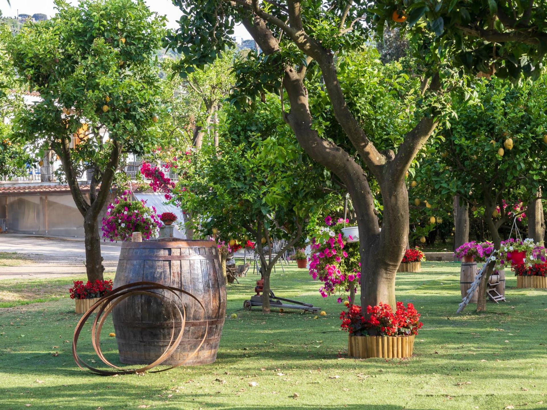 Giardino Di Nonno Lucio - Surrounded By Lemon Tree Holiday home *
