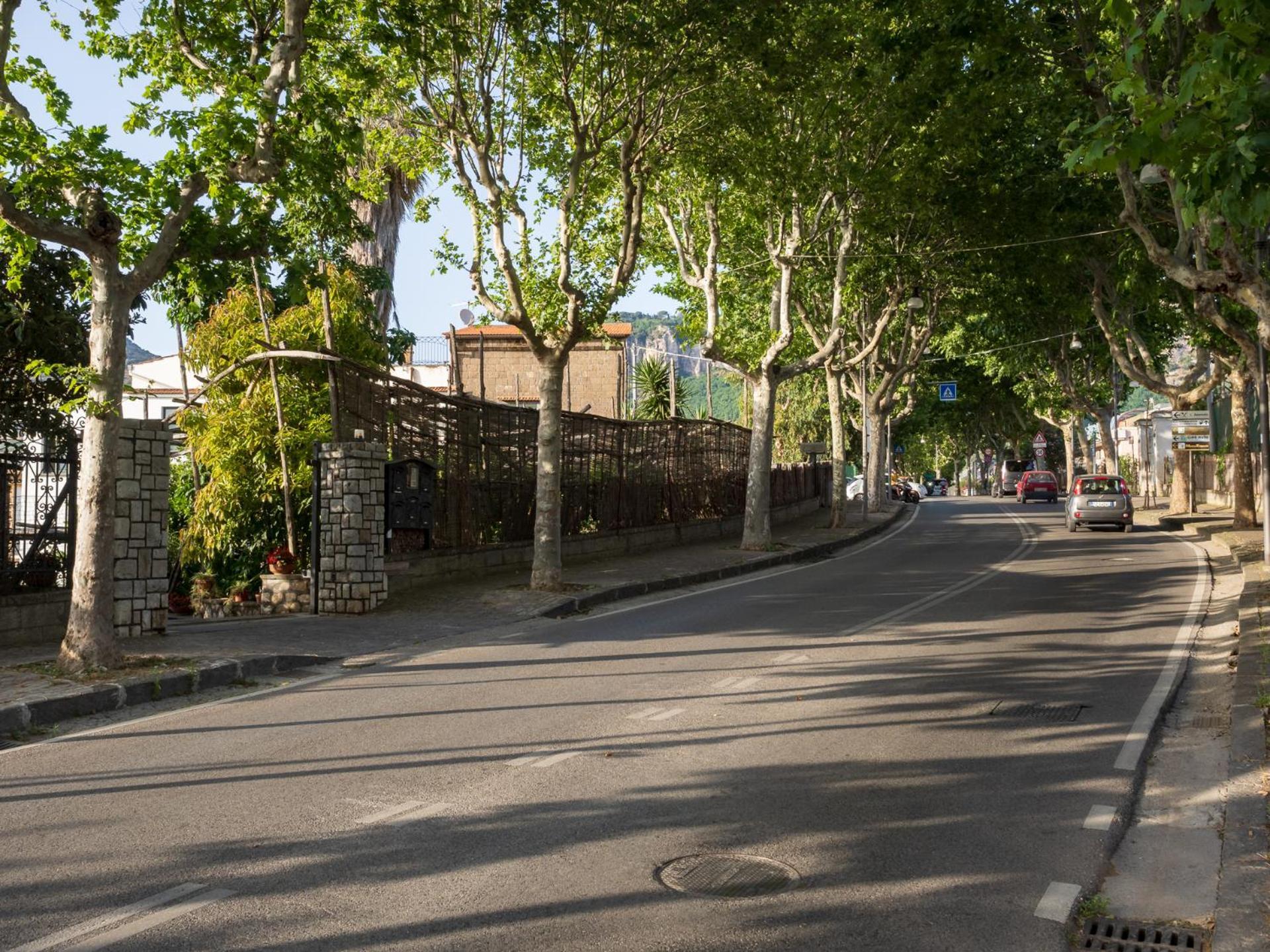 Giardino Di Nonno Lucio - Surrounded By Lemon Tree Piano di Sorrento