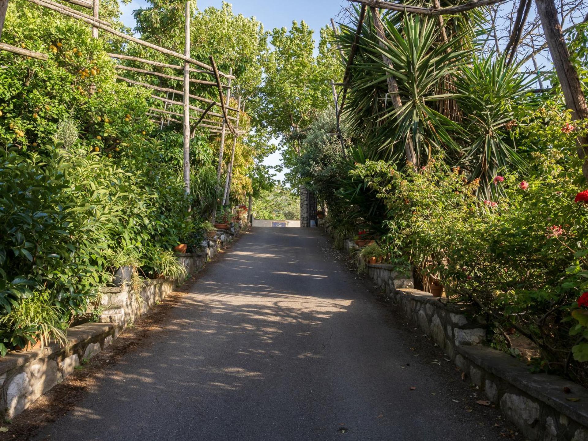 Giardino Di Nonno Lucio - Surrounded By Lemon Tree