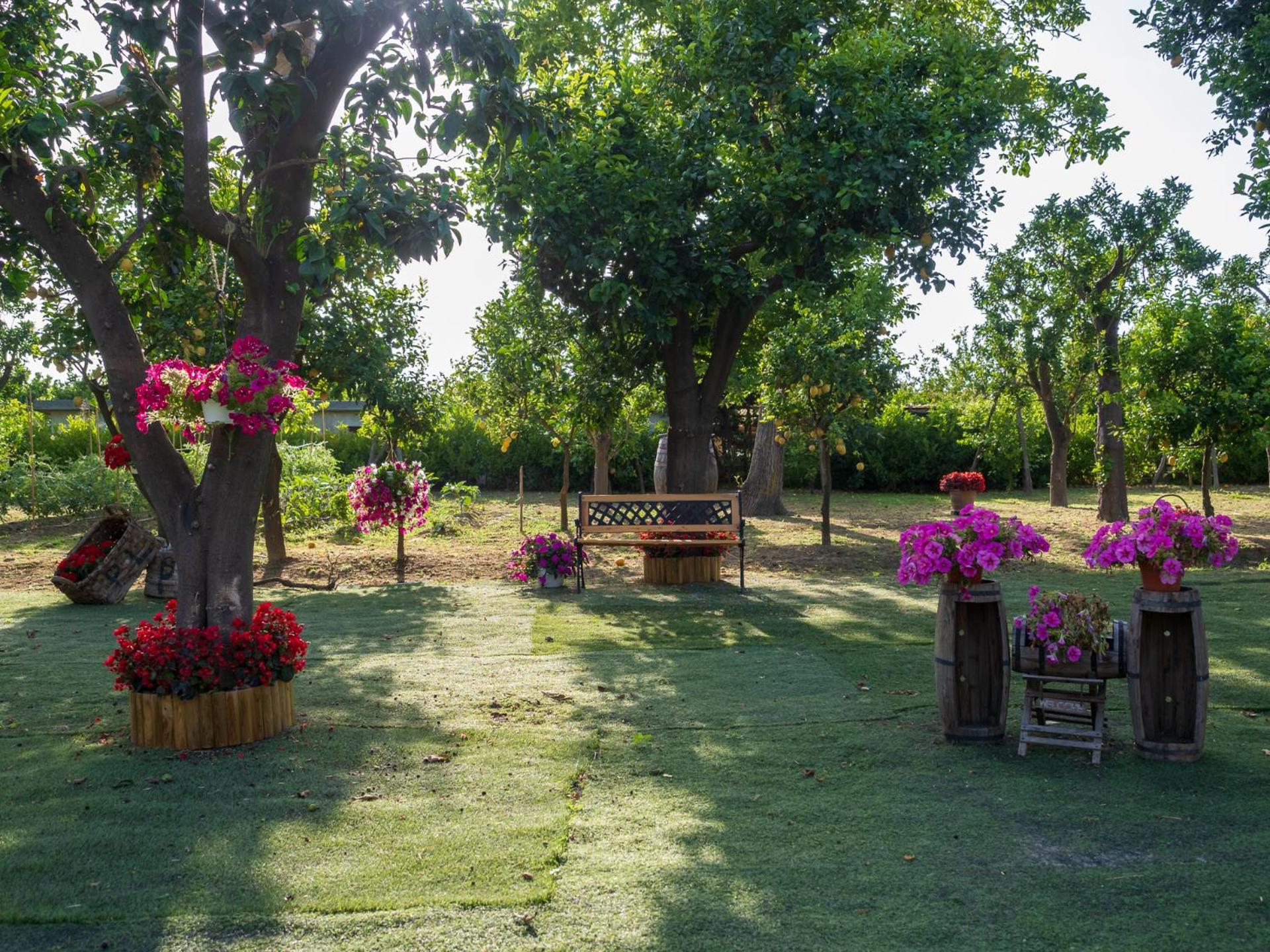 Giardino Di Nonno Lucio - Surrounded By Lemon Tree *